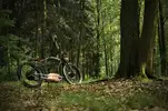 100/cok4q3lzlyisveemwmcz.jpg